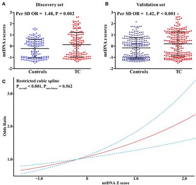 Leukocyte Mitochondrial DNA Copy Number and Risk of Thyroid Cancer: A Two-Stage Case-Control Study